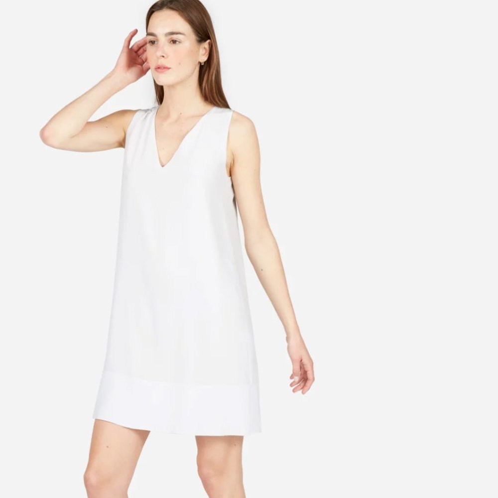 NWT Everlane Double-Lined Silk V-Neck Dress
